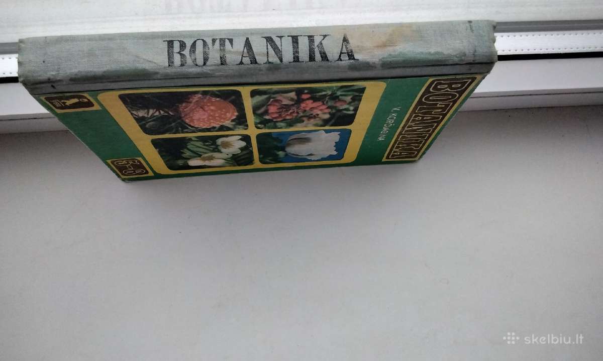 Botanika. 5-6 klasei - nuotraukos Nr. 6