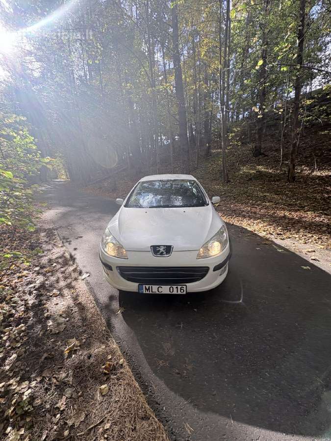 Peugeot 407 - nuotraukos Nr. 5