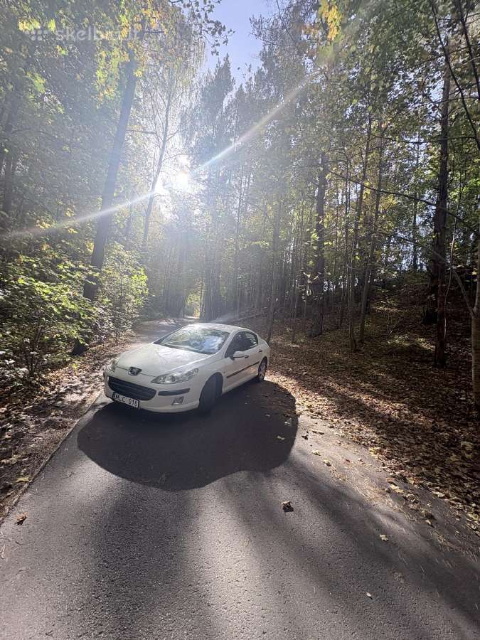 Peugeot 407 - nuotraukos Nr. 6