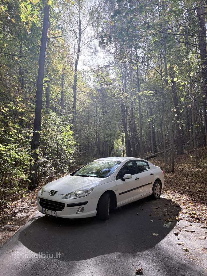 Peugeot 407 - nuotraukos Nr. 7