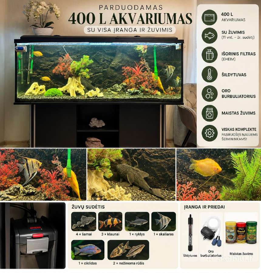 400l akvariumas - nuotraukos Nr. 2