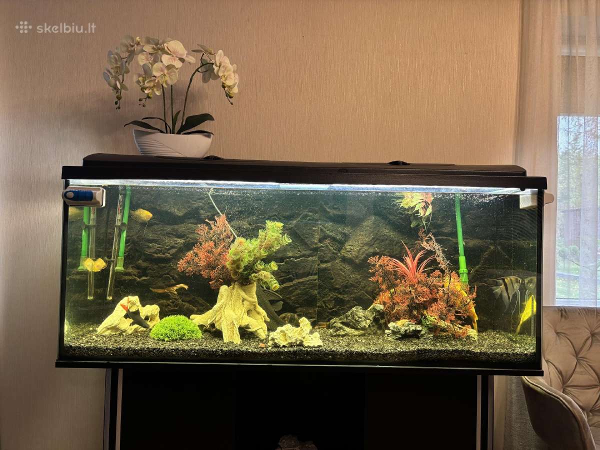 400l akvariumas - nuotraukos Nr. 3