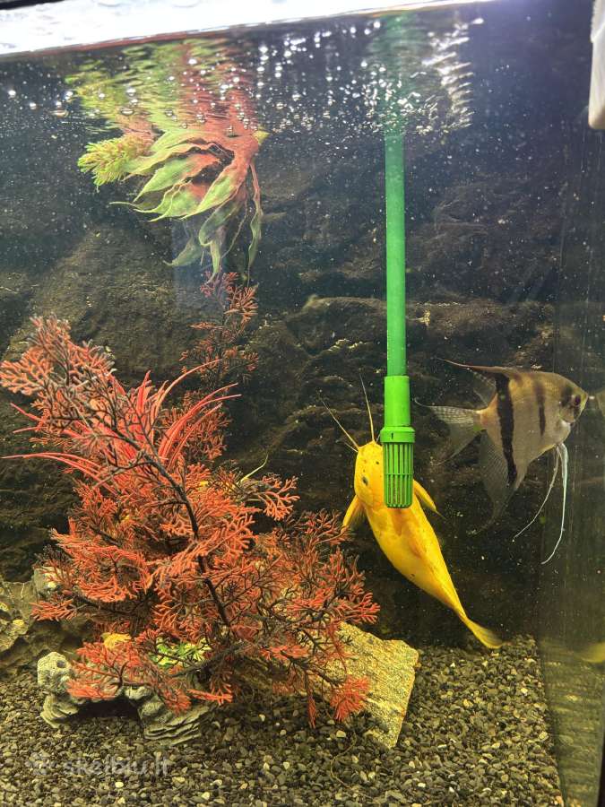 400l akvariumas - nuotraukos Nr. 5