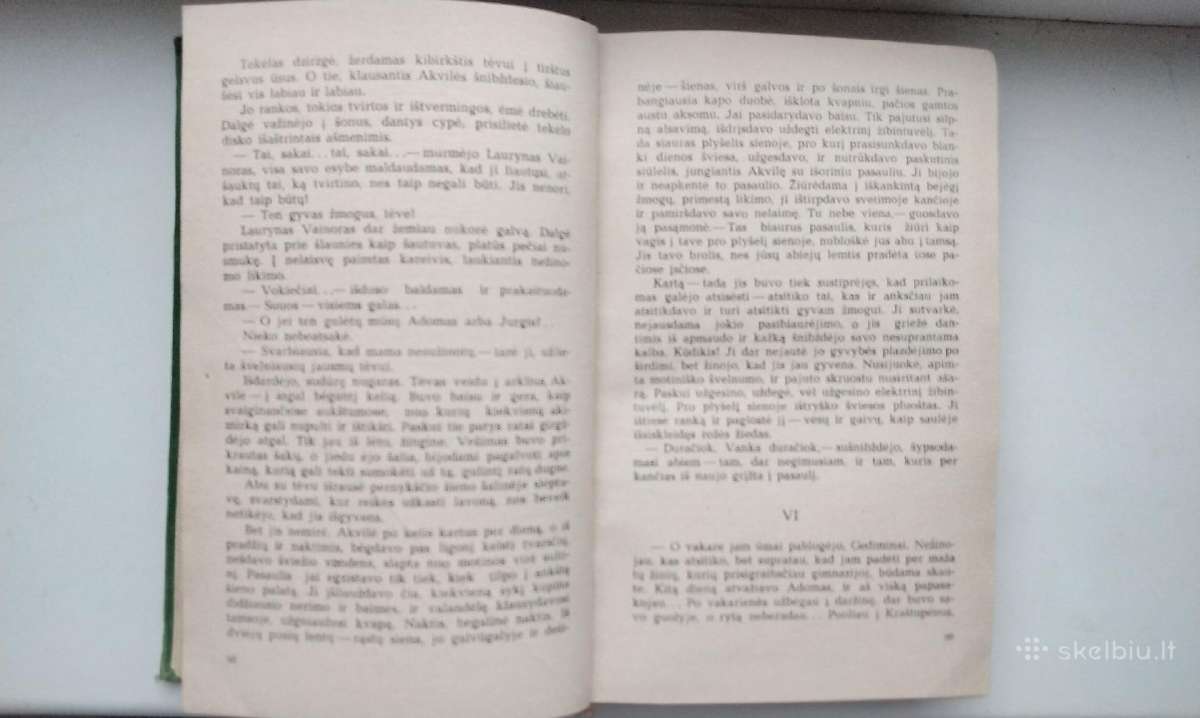 J. Avyžius. Sodybų tuštėjimo metas. 1973 m. leid. - nuotraukos Nr. 6