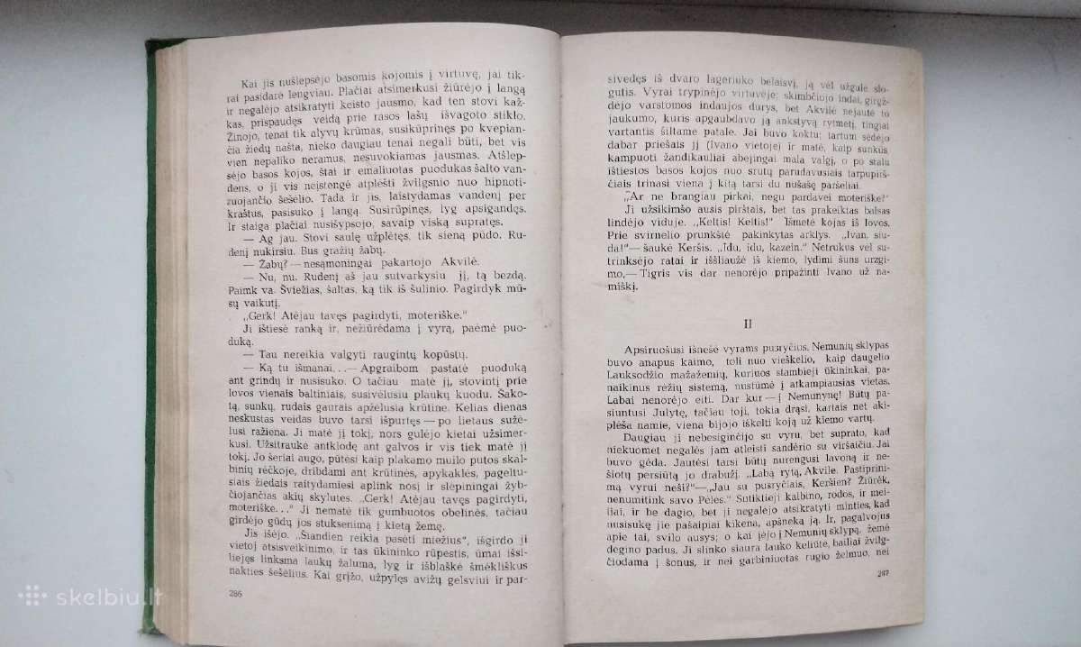 J. Avyžius. Sodybų tuštėjimo metas. 1973 m. leid. - nuotraukos Nr. 7