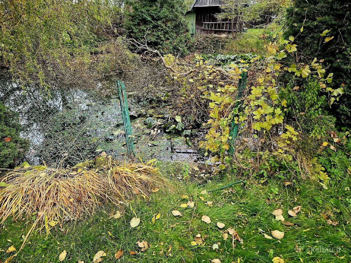 Parduodamas 8a.sodas bendrijoje - nuotraukos Nr. 10