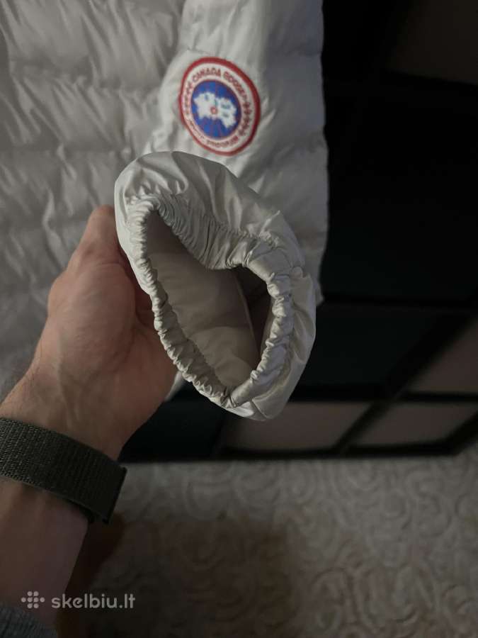 Canada goose - nuotraukos Nr. 4