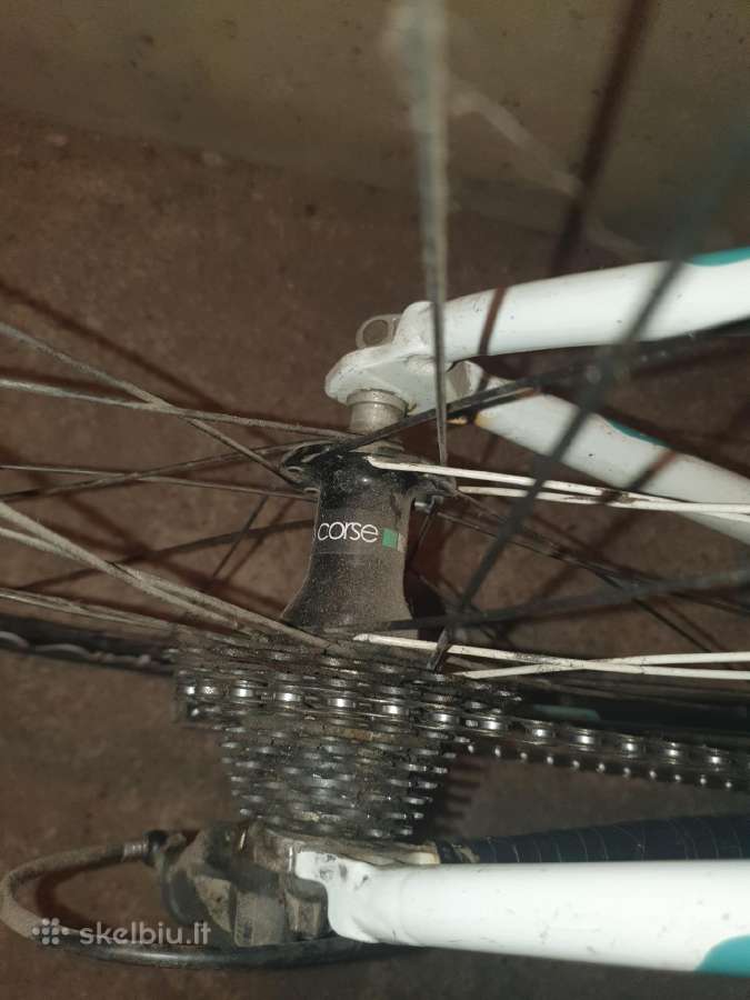 Bianchi Nirone 7 ,Karbonine Priekine Sake - nuotraukos Nr. 4