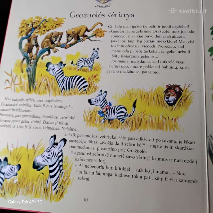 Močiūtės pasakos(labai did.formatas) - nuotraukos Nr. 3