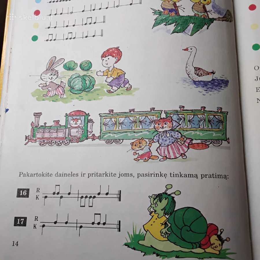 Lakštutė - nuotraukos Nr. 5