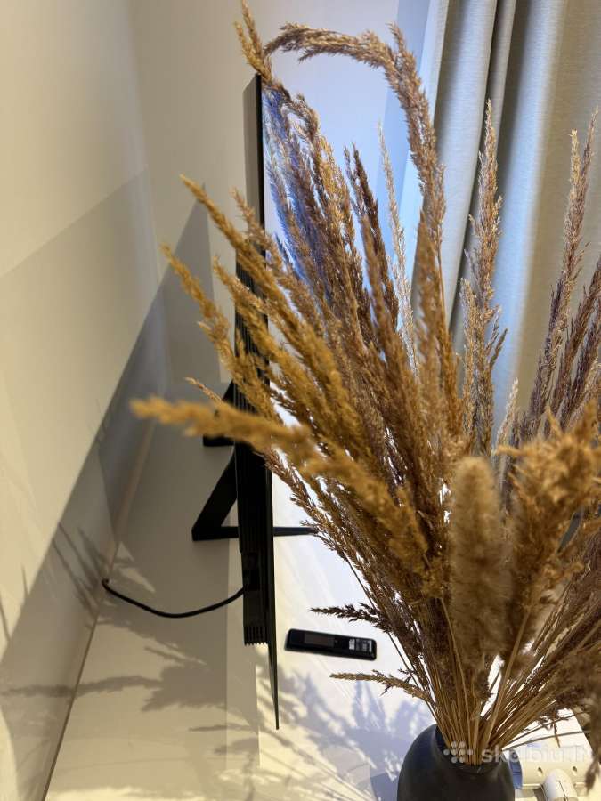 Samsung Oled 55 - nuotraukos Nr. 3