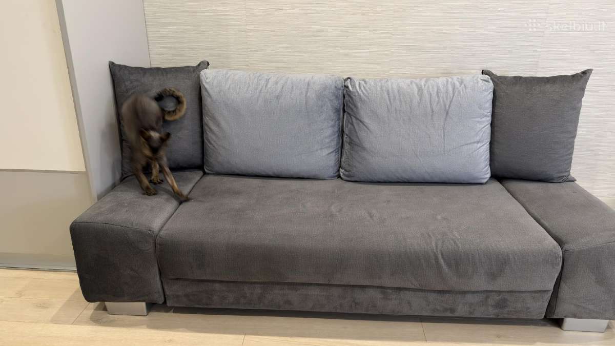 Sofa lova - nuotraukos Nr. 3