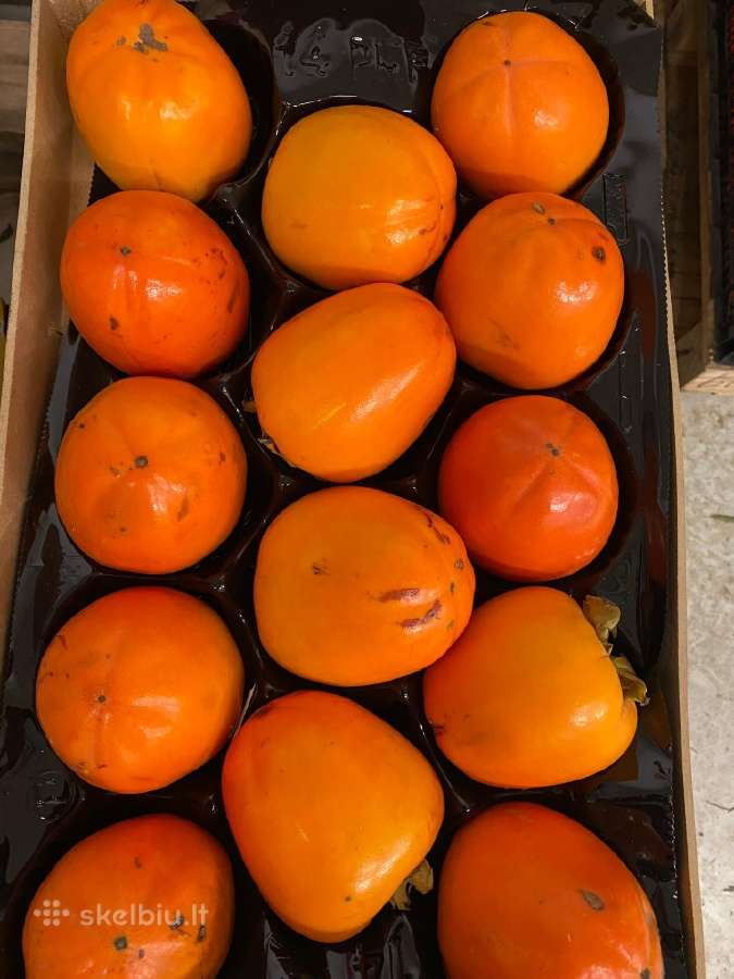 Vaisiai iš Ispanijos alyvuogės tunas didmena - nuotraukos Nr. 21