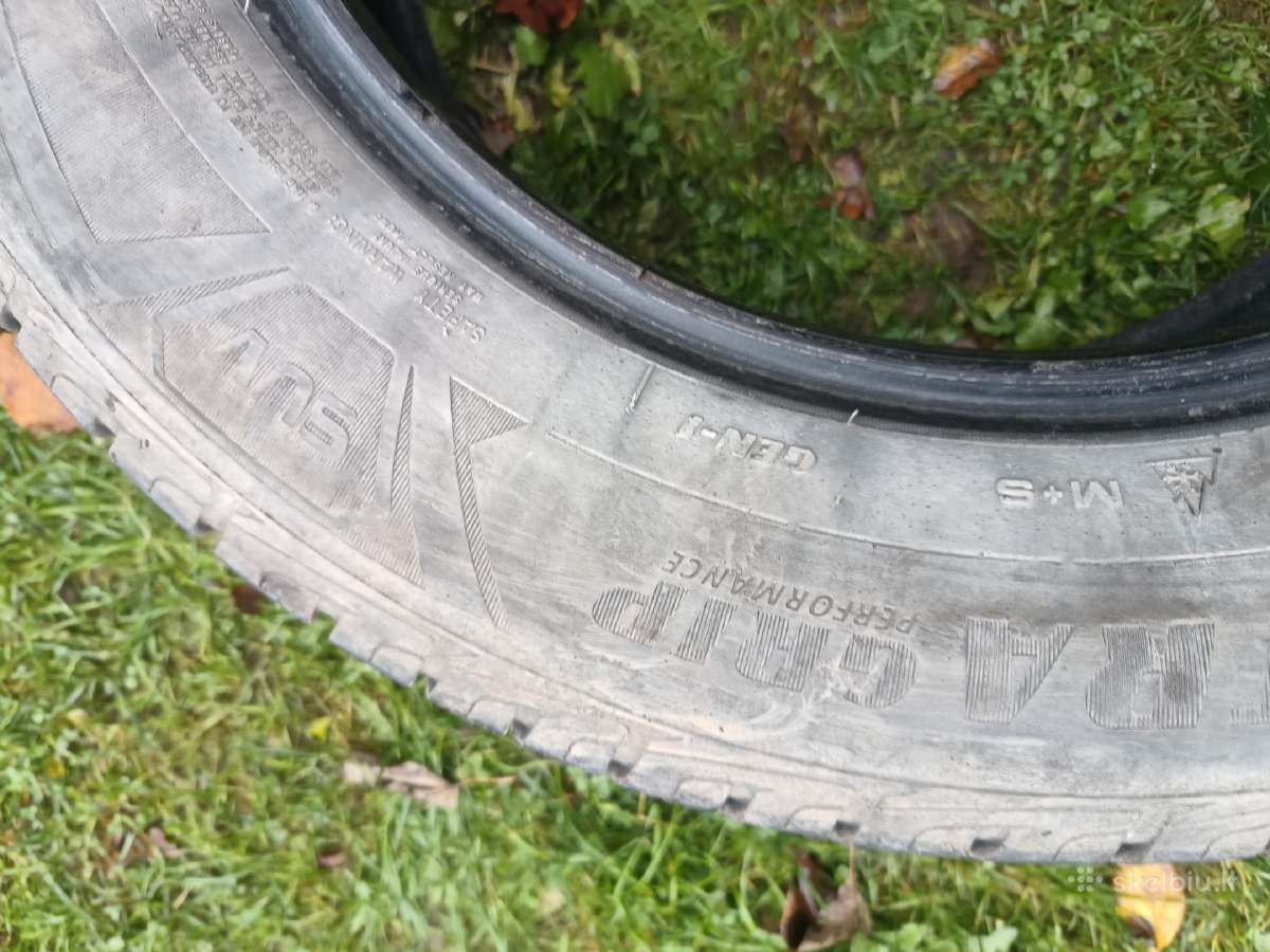 Padangos 225x65r17 Goodyear - nuotraukos Nr. 5