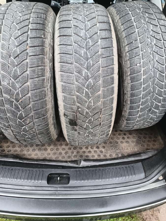 Padangos 225x65r17 Goodyear - nuotraukos Nr. 10