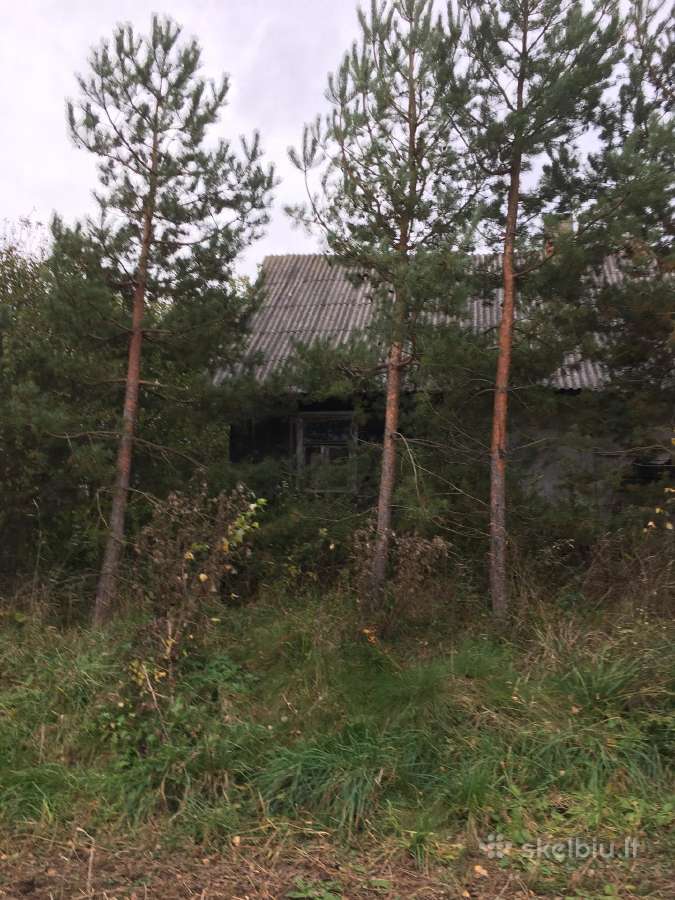 Parduodama Sodyba - nuotraukos Nr. 14