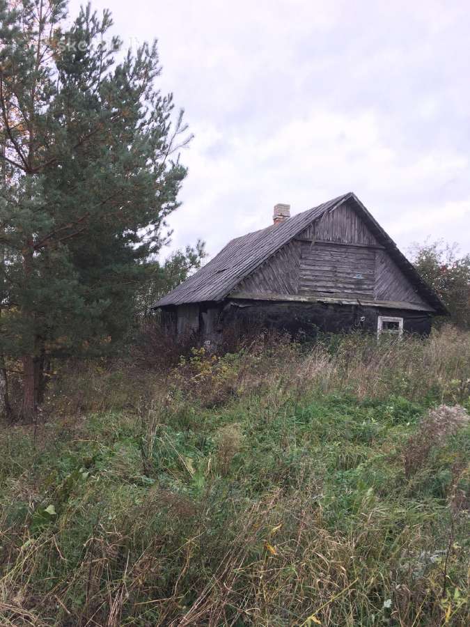 Parduodama Sodyba - nuotraukos Nr. 15