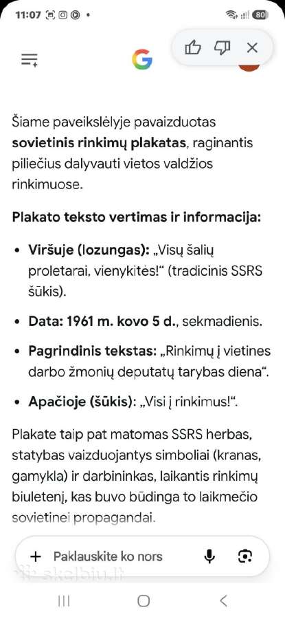Agitacinis lapelis - nuotraukos Nr. 8