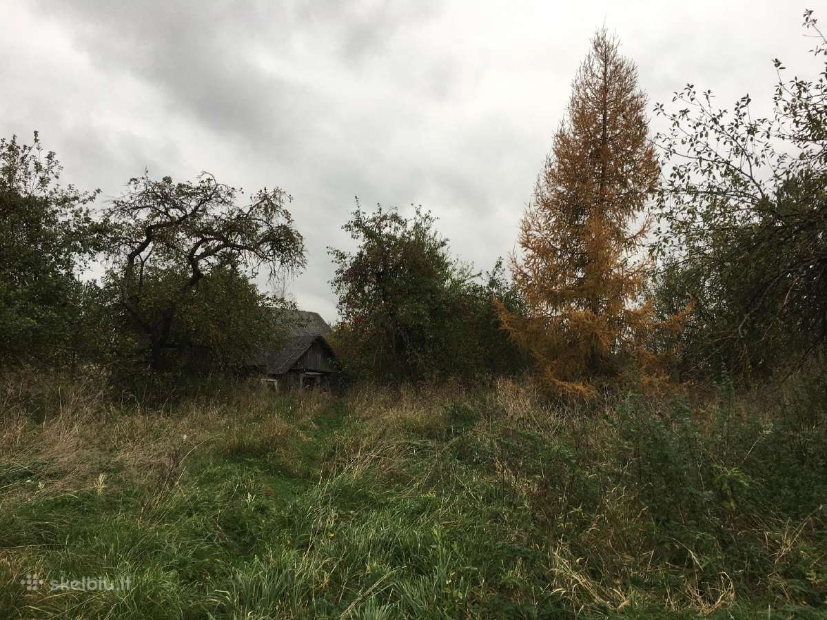 Parduodama Sodyba - nuotraukos Nr. 18