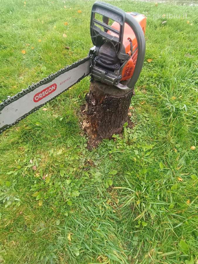 Husqvarna 572xp 4.3 kw - nuotraukos Nr. 3
