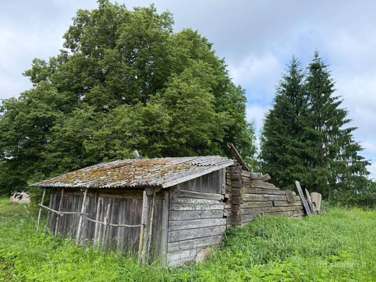 Demontavimo ir griovimo darbai Vilniaus rajone - nuotraukos Nr. 33