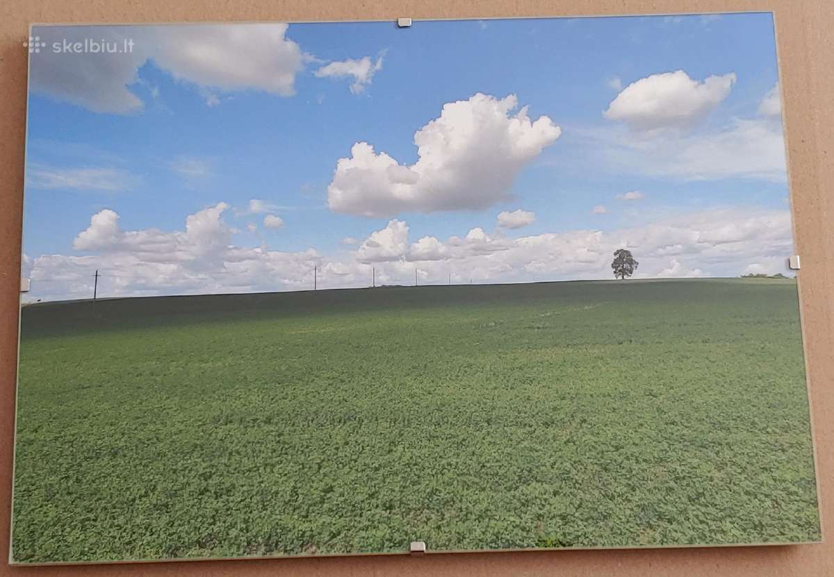 Dangaus fotografija-nuotrauka - nuotraukos Nr. 2