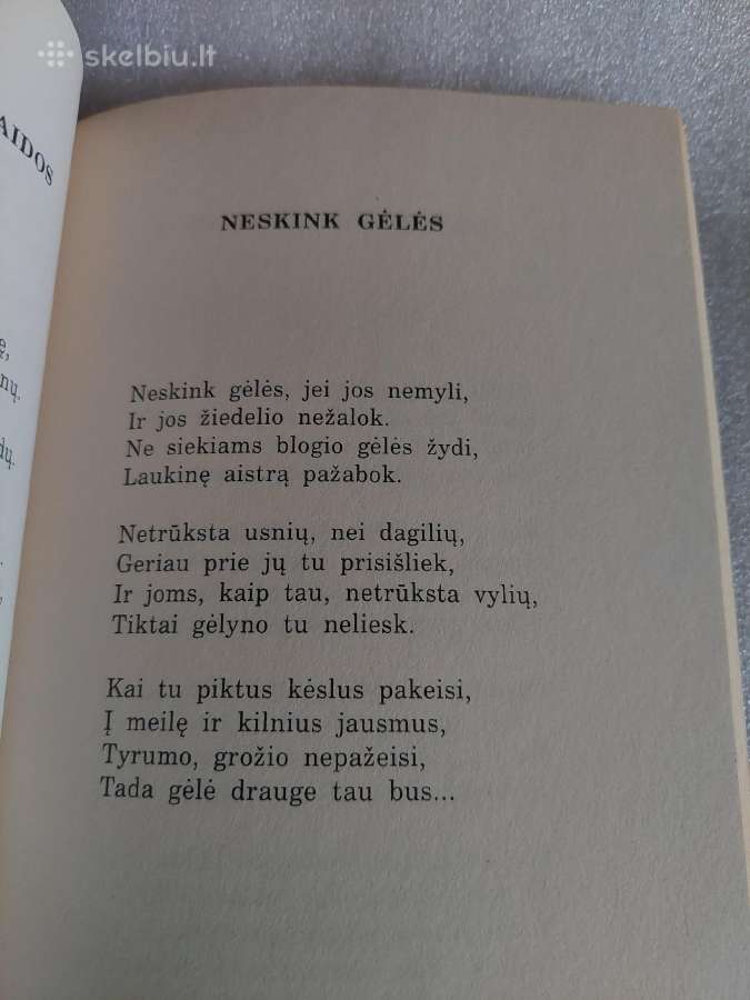 Žydėjimas ir verpetai - nuotraukos Nr. 4