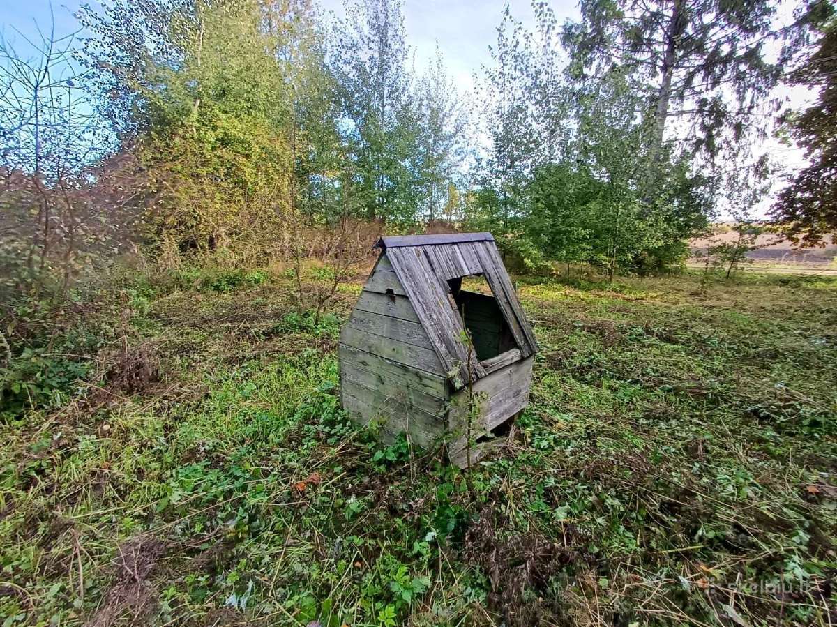 Sodyba Kupiškyje, Žaidelių km. - nuotraukos Nr. 11