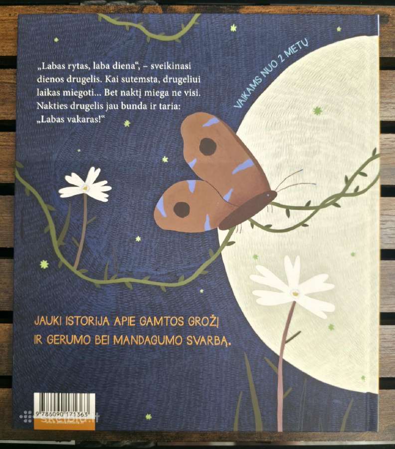 Vaikiška Knygutė Dienos Drugelis Nakties Drugelis - nuotraukos Nr. 2
