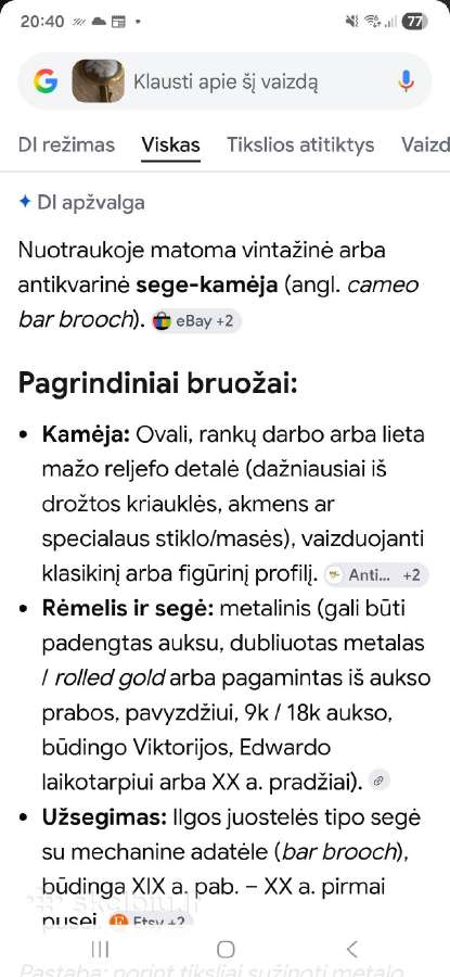 Antikvarinė sagė - nuotraukos Nr. 16
