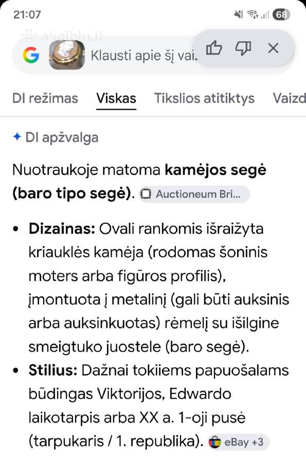 Antikvarinė sagė - nuotraukos Nr. 17
