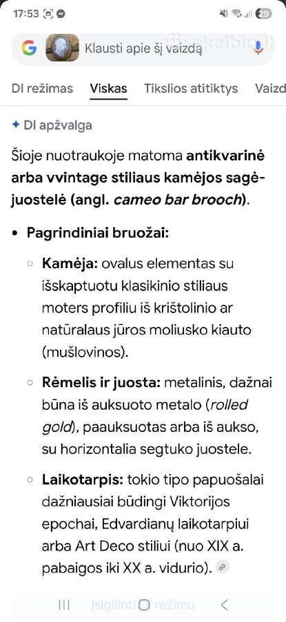 Antikvarinė sagė - nuotraukos Nr. 18