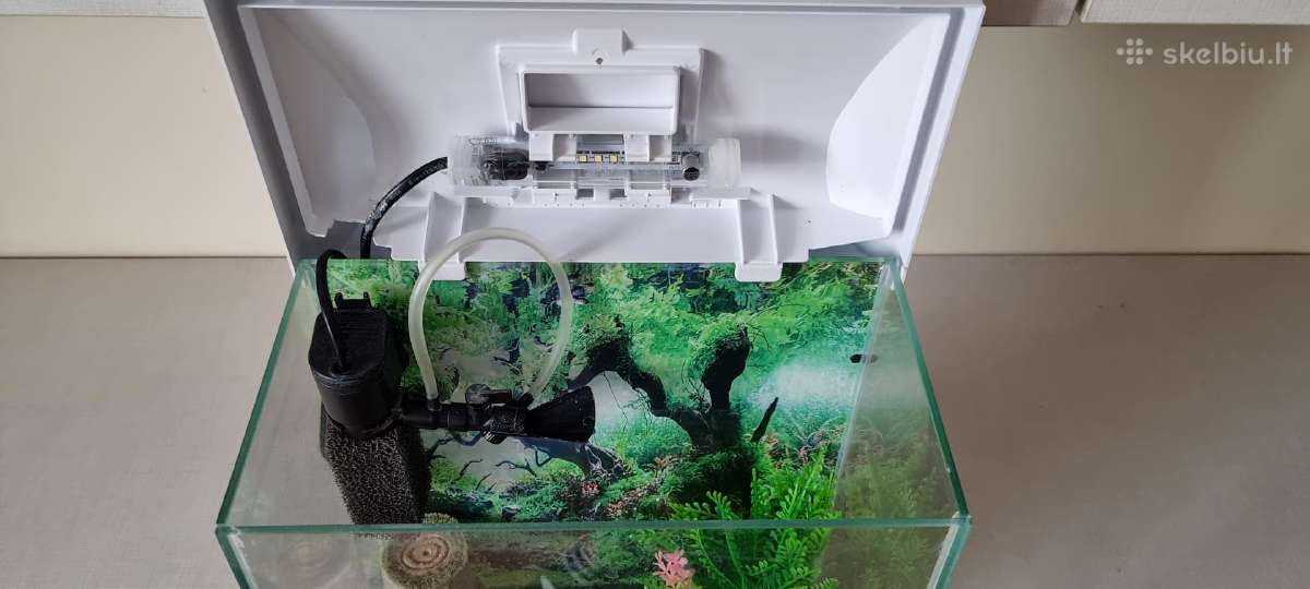 Parduodu 12l akvariumą - nuotraukos Nr. 2