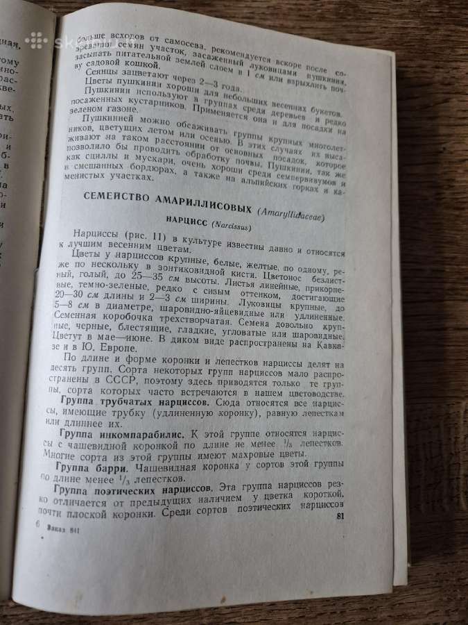 Многолетние цветы открытого грунта (rusų k.) - nuotraukos Nr. 9