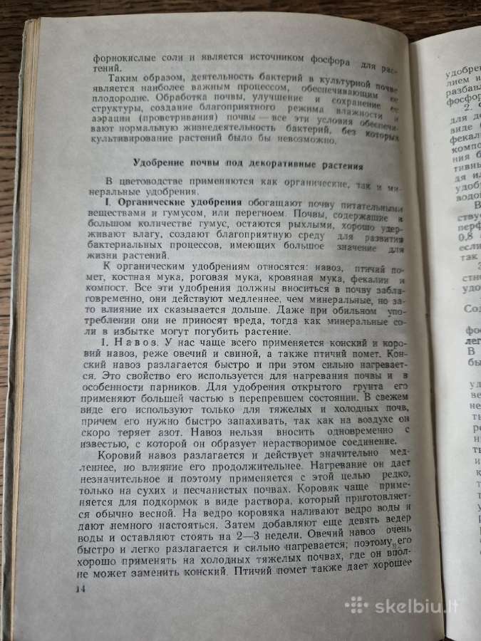 Многолетние цветы открытого грунта (rusų k.) - nuotraukos Nr. 11
