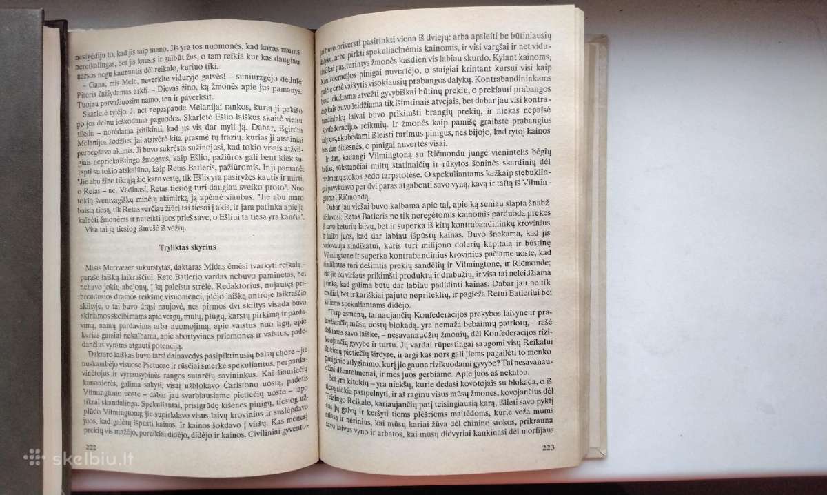 M. Mitčel. Vėjo nublokšti. Pirma dalis - nuotraukos Nr. 6