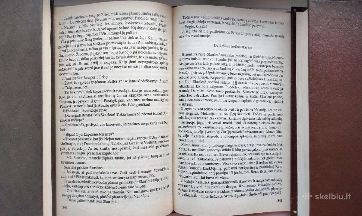 M. Mitčel. Vėjo nublokšti. Pirma dalis - nuotraukos Nr. 7