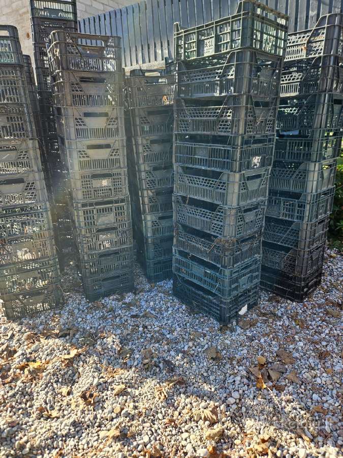 Dovanojamos plastikinės dėžės - nuotraukos Nr. 2