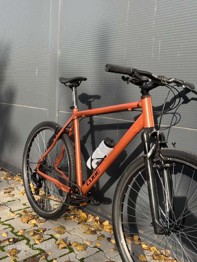Cube pure hibridas - nuotraukos Nr. 2