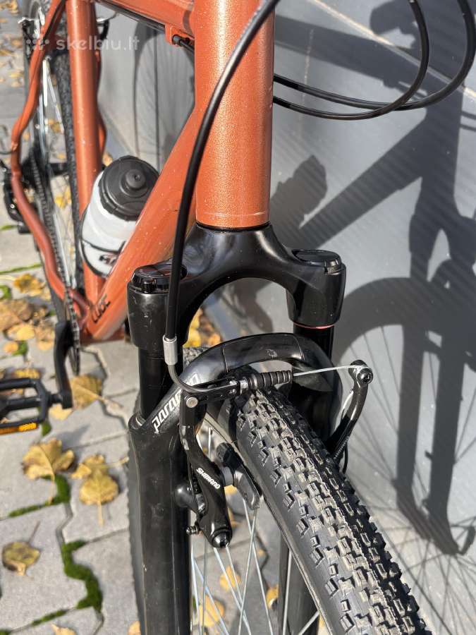 Cube pure hibridas - nuotraukos Nr. 5