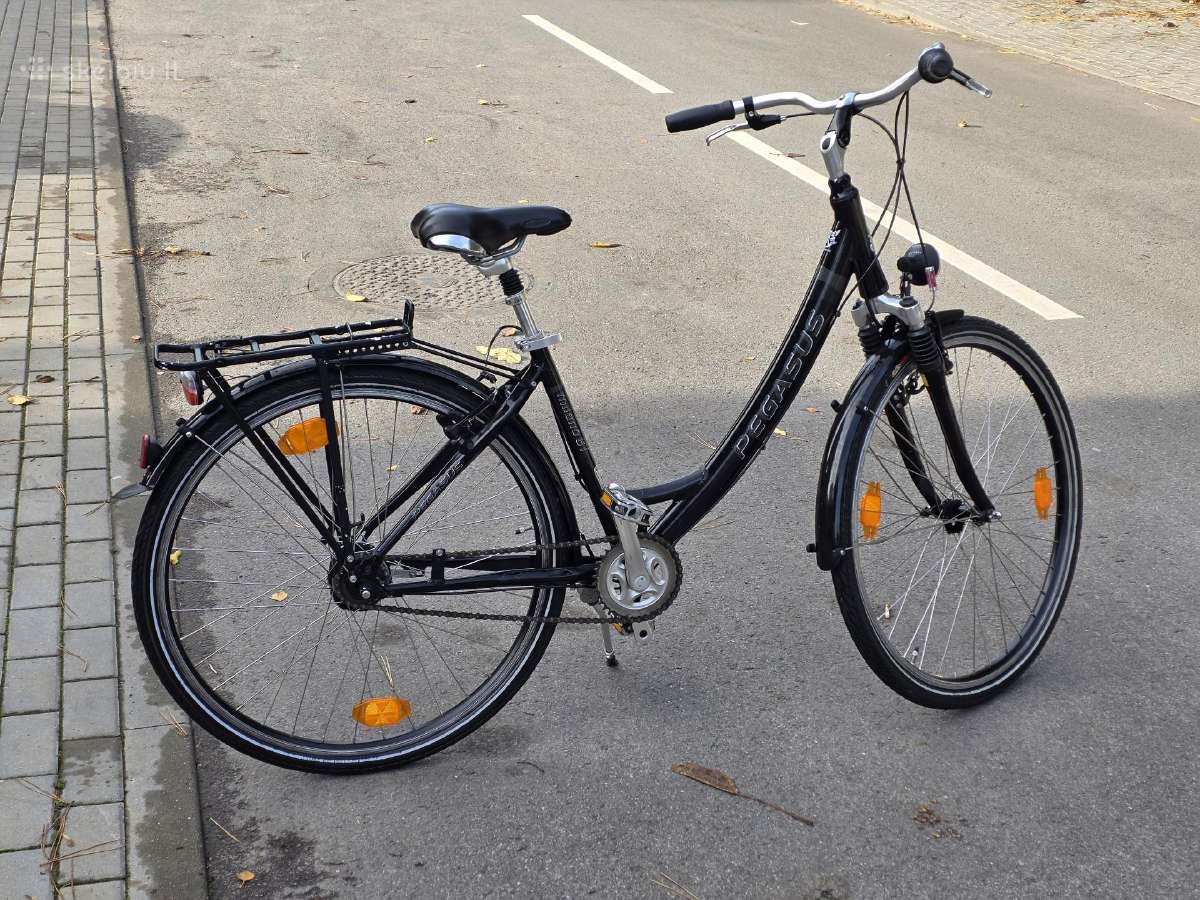 Pegasus Milano GT 28" 45cm S/m (žemas rėmas) - nuotraukos Nr. 4