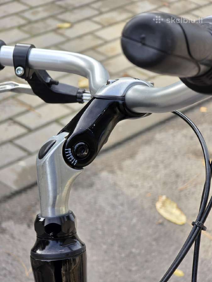 Pegasus Milano GT 28" 45cm S/m (žemas rėmas) - nuotraukos Nr. 8