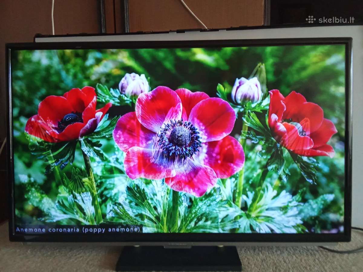 Grundig LED 82cm+smart TV Box WiFi 4k - nuotraukos Nr. 6