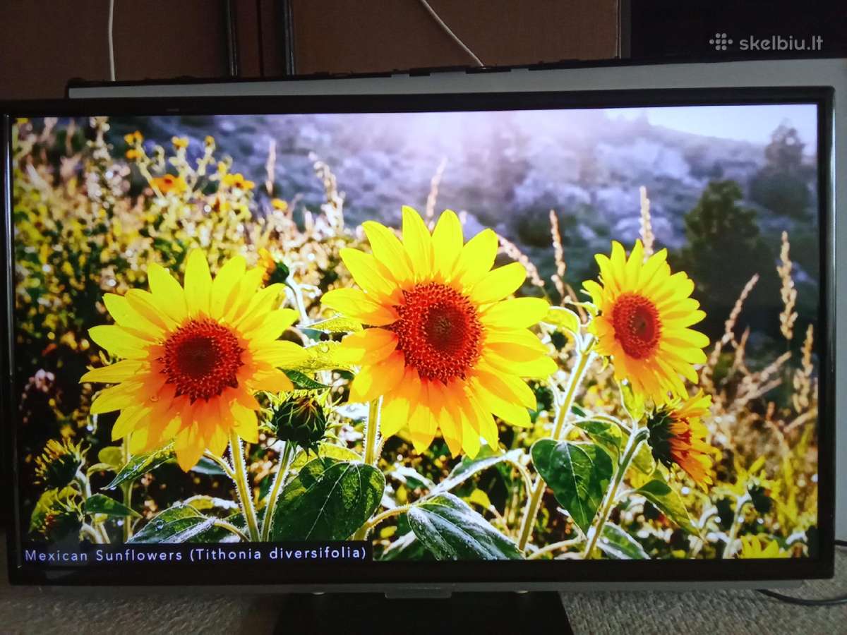 Grundig LED 82cm+smart TV Box WiFi 4k - nuotraukos Nr. 10