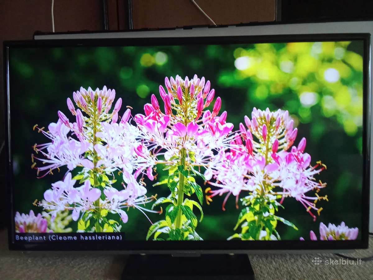 Grundig LED 82cm+smart TV Box WiFi 4k - nuotraukos Nr. 26