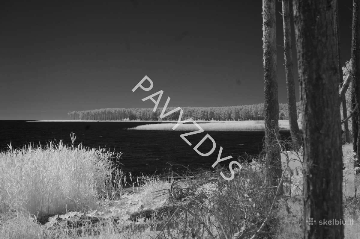 Fotoaparatas Sony Nex-3n (infrared modifikuotas) - nuotraukos Nr. 11