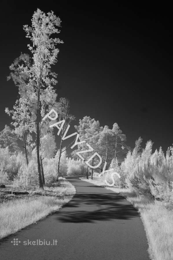 Fotoaparatas Sony Nex-3n (infrared modifikuotas) - nuotraukos Nr. 10