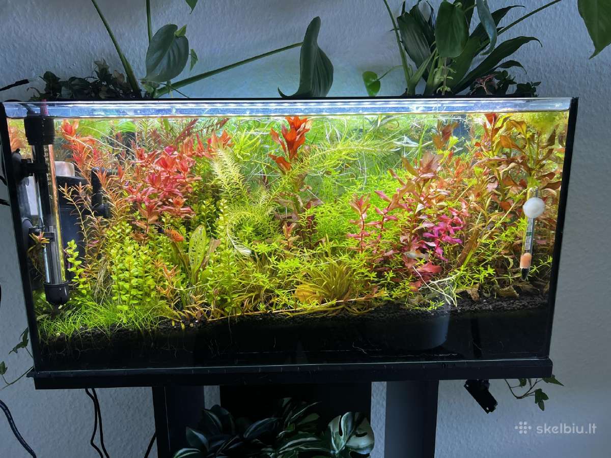 Nicrew Slimled akvariumo šviestuvas – 32 W - nuotraukos Nr. 3