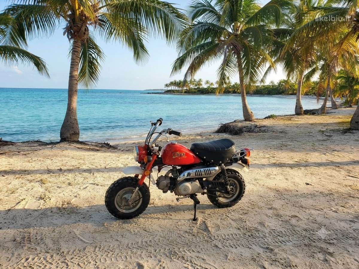 Honda monkey motociklas - nuotraukos Nr. 3