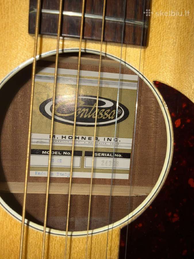 Gitaros - nuotraukos Nr. 2